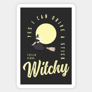 Halloween Funny Witch Feeling Witchy Magnet